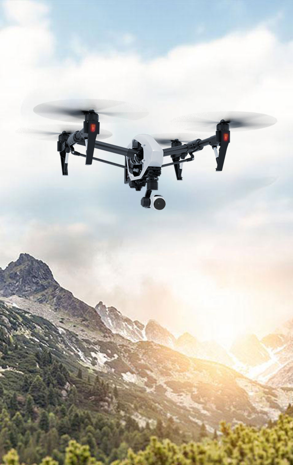 金牌榮譽 金牌榮譽